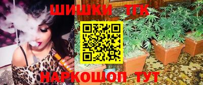индика Славгород