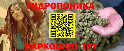 индика Славгород