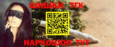 индика Славгород
