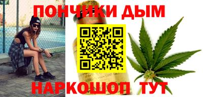 индика Славгород
