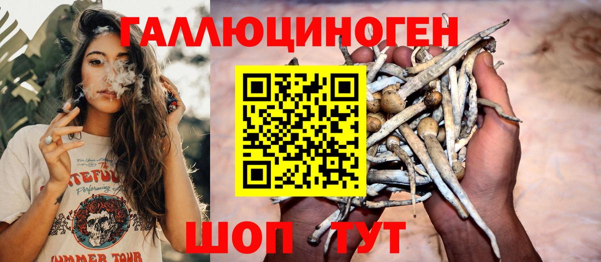 Светлоград  Галлюциногенные грибы MAGIC MUSHROOMS  Вход с VPN 